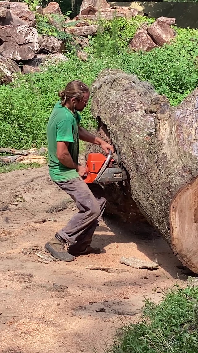Savannah Tree Service LLC photo 2
