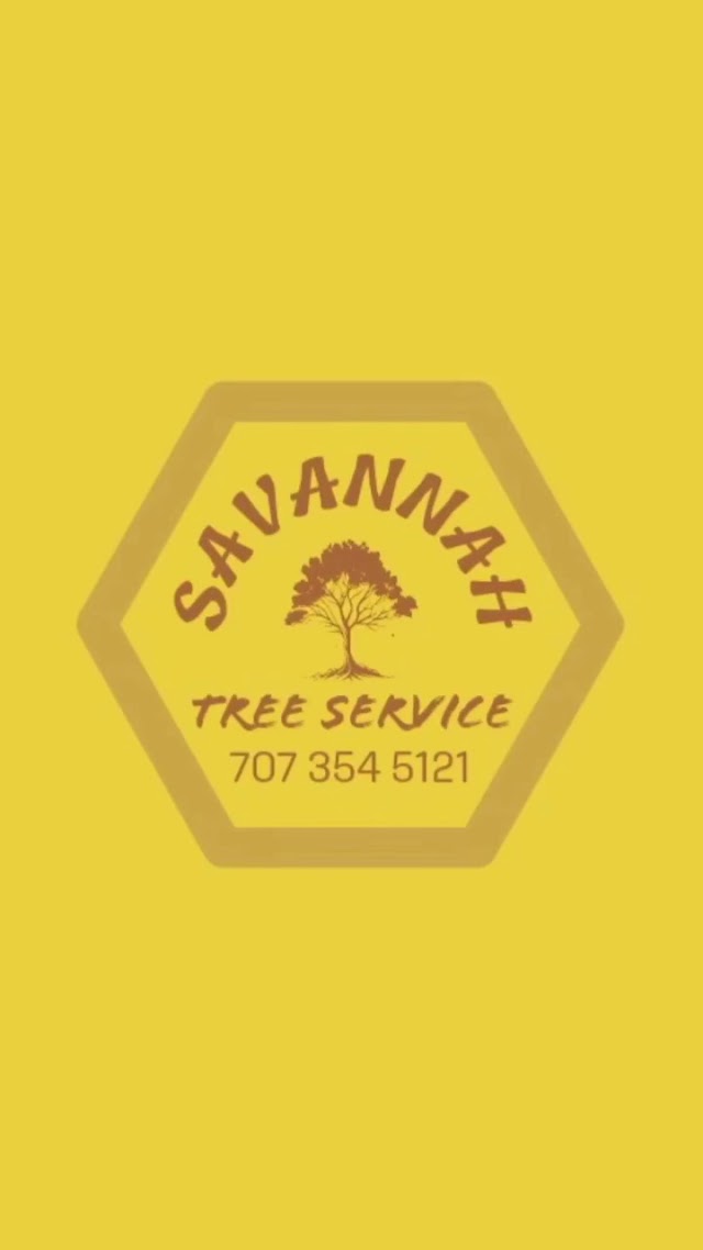 Savannah Tree Service LLC photo 4