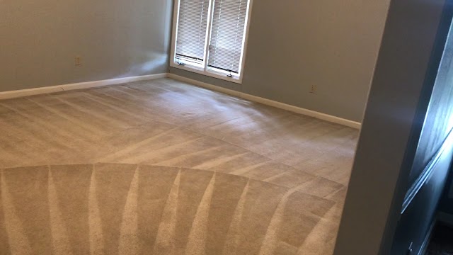Sci-Clean Carpet Care photo 2