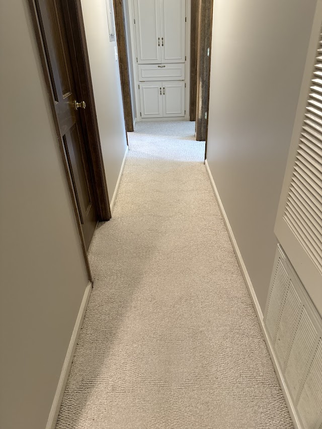 Sci-Clean Carpet Care photo 3