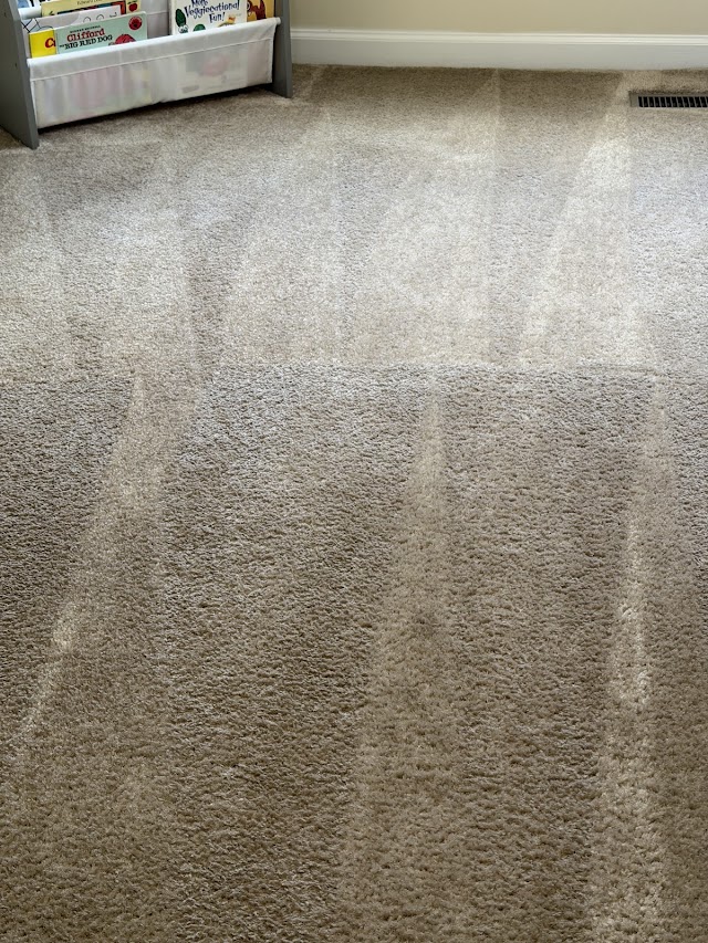 Sci-Clean Carpet Care photo 4