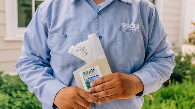 Scout Pest Control