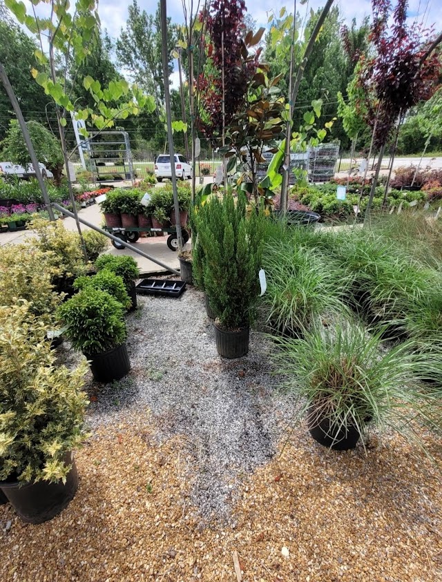 Seasonal Concepts Lawn & Landscaping photo 1
