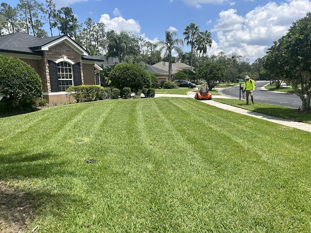 SEC Lawn & Landscaping photo 2