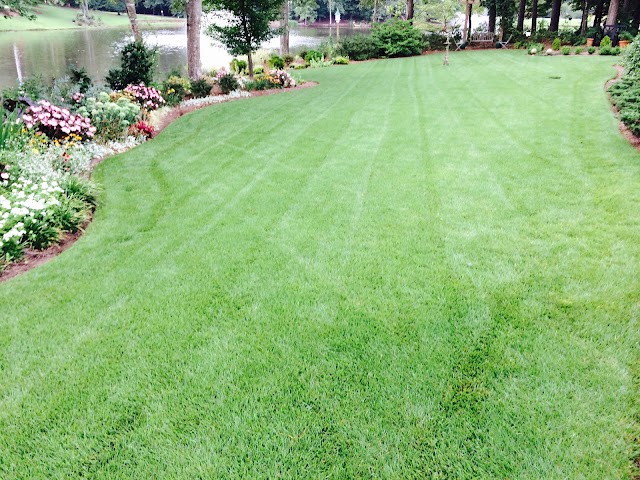 SEC Lawn & Landscaping photo 4