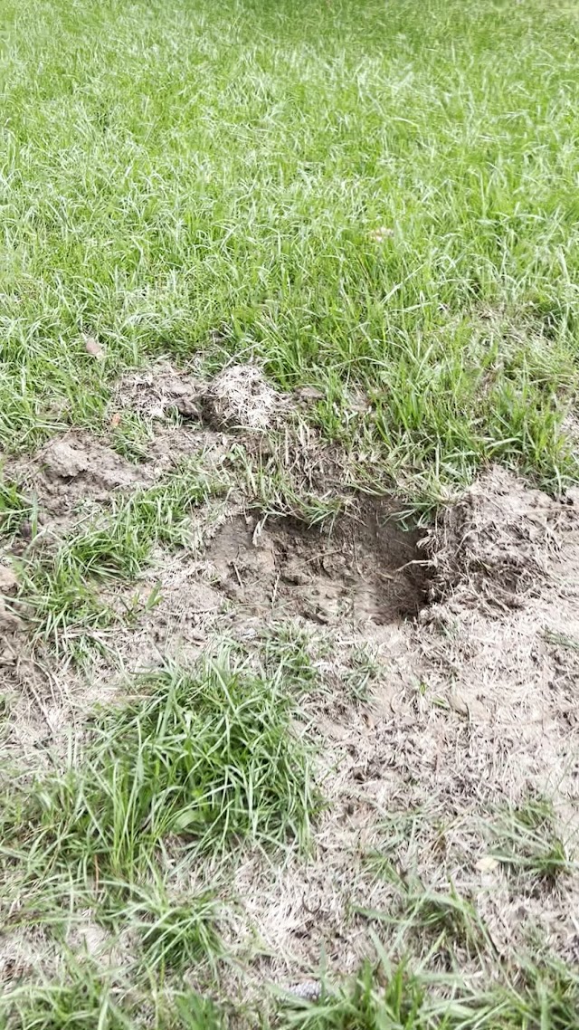 Septic Solutions Plumbing photo 3