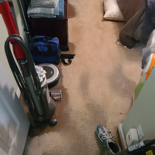 Serclean photo 4