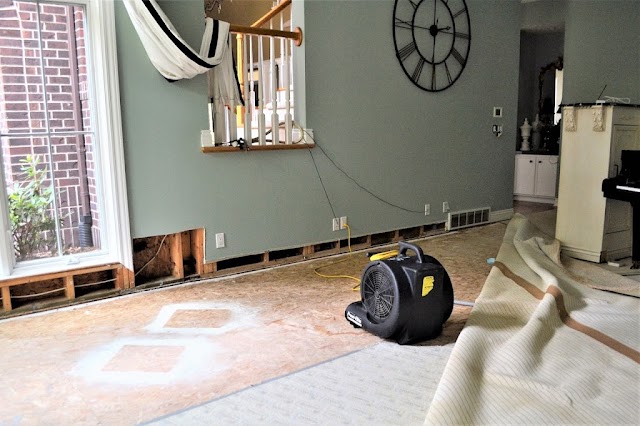 Serclean photo 4