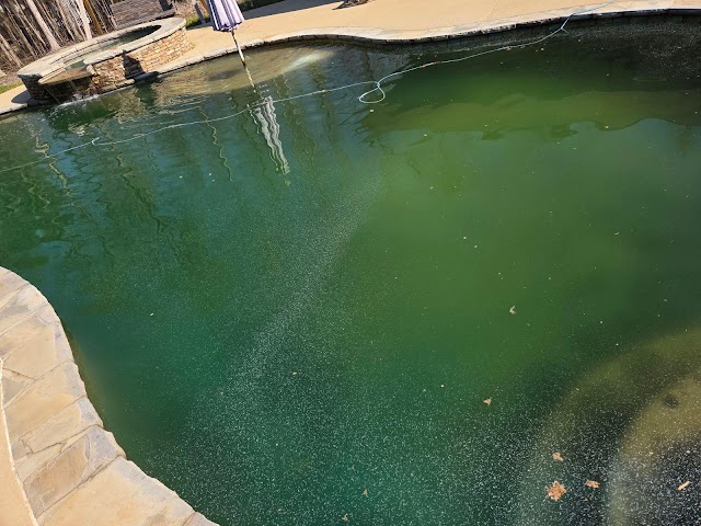 Shields Pool & Spa photo 2