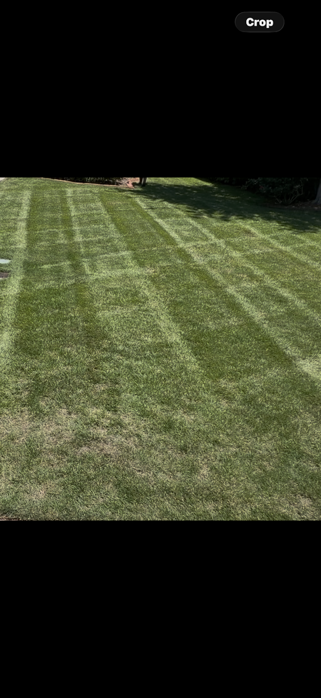 Signature Handy & Lawncare Services photo 2