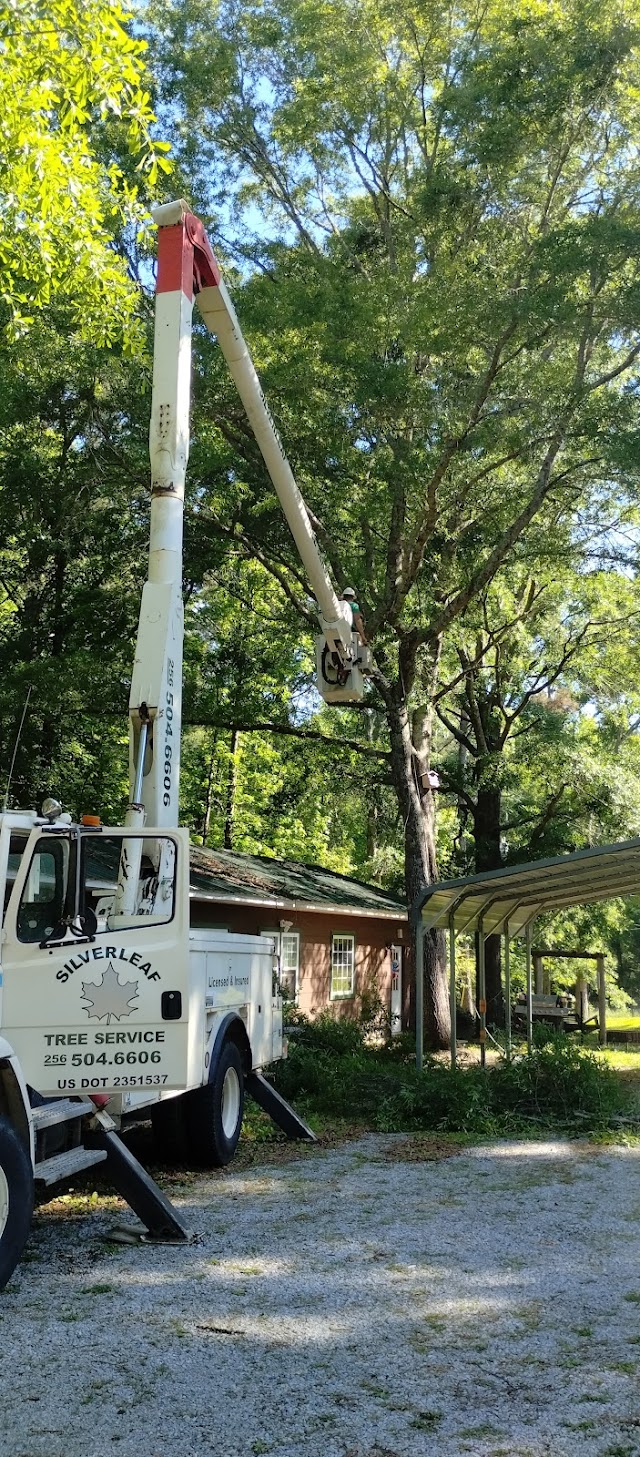 Silverleaf Tree Service