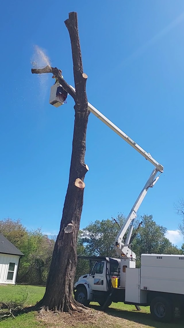 Skyline Tree Service
