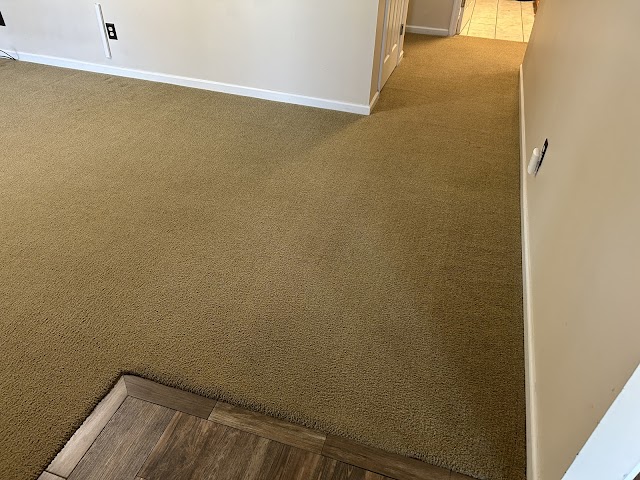 SME Carpet and Upholstery Cleaning - Wool Rug Cleaning Columbus Ga. photo 2