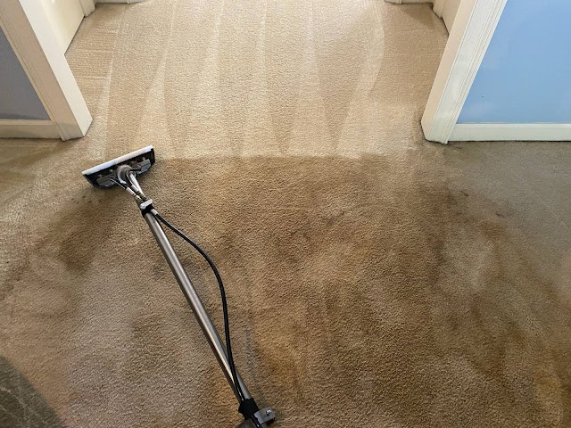 SME Carpet and Upholstery Cleaning - Wool Rug Cleaning Columbus Ga. photo 4