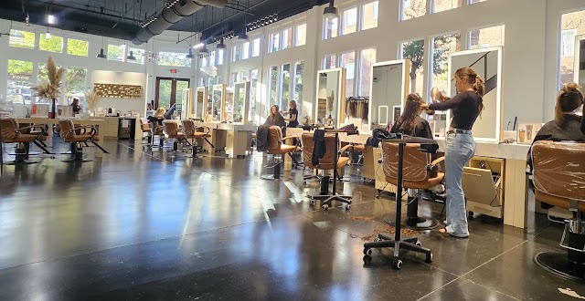 Society Salon photo 4