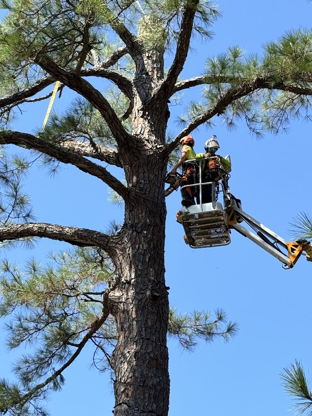 South Coast Outdoor Services
