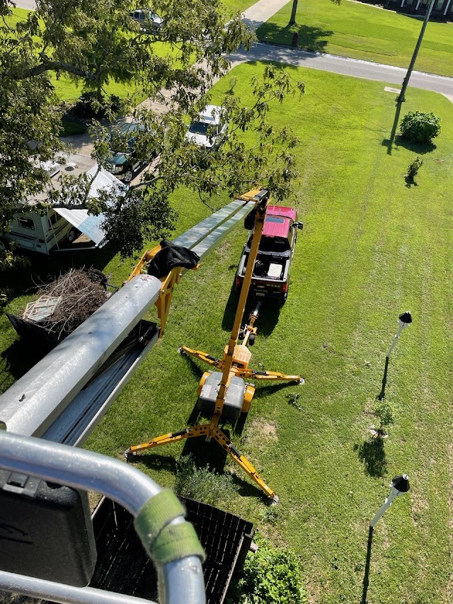 South Coast Outdoor Services photo 2