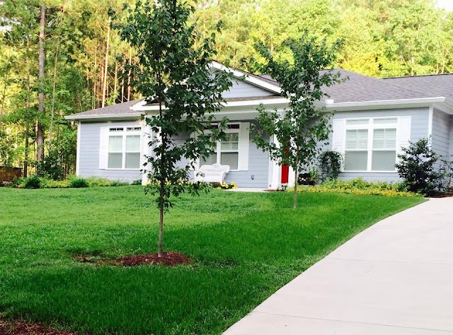 Southern Eco Scapes - Gray, GA Landscaping and Lawn Maintenance photo 2