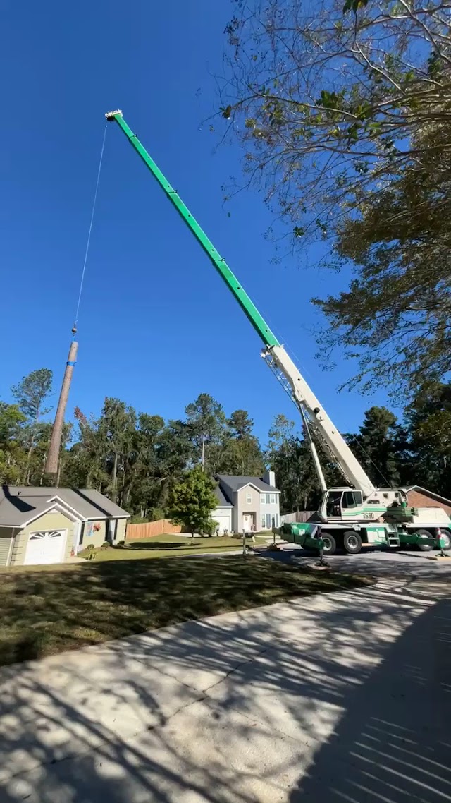 Southern Grind Stump & Tree Removal photo 4