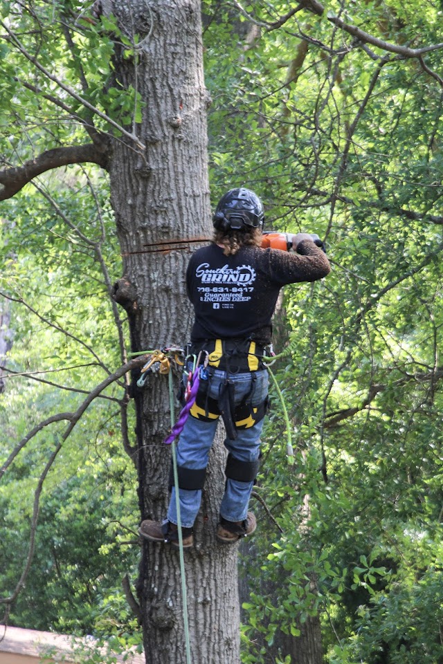 Southern Grind Stump & Tree Removal