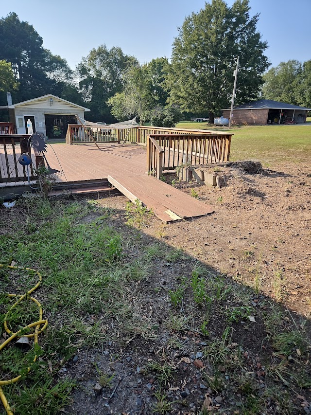 Southern Grind Stump & Tree Removal photo 2