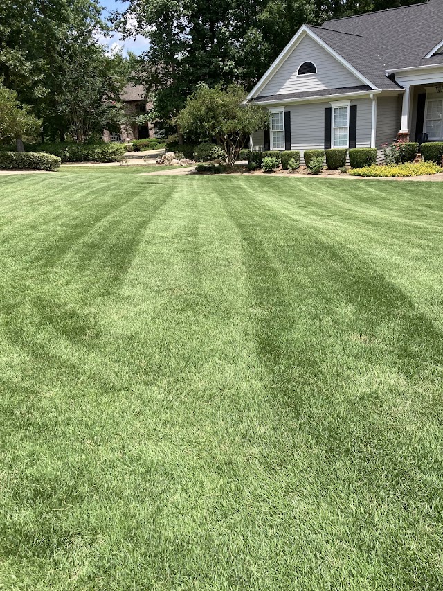 Southern Landscape Maintenance photo 2