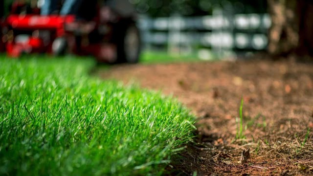 Southern Style Lawn Service