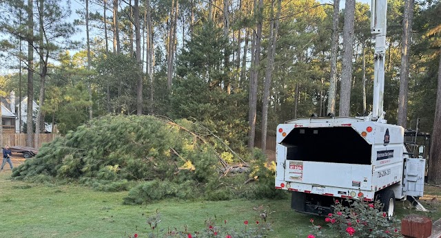 Southern Tree Company photo 2