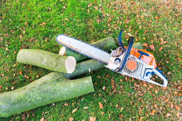Southern Tree Pros photo 3