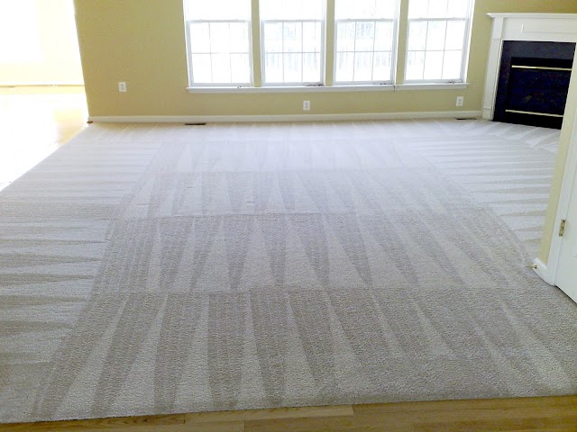 Southwest Georgia Janitorial & Professional Carpet Cleaning