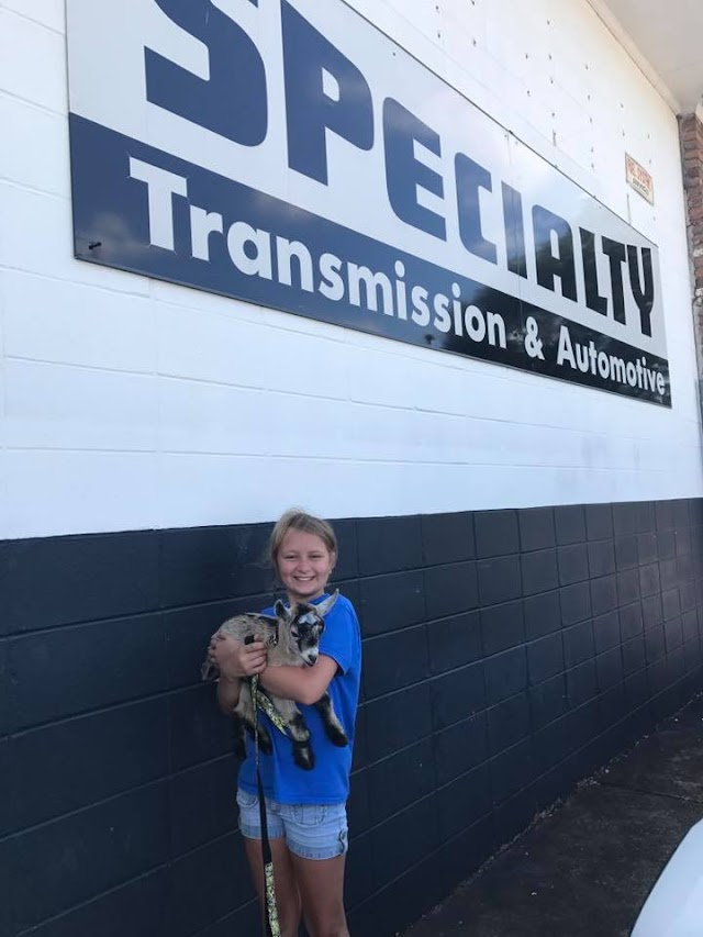 Specialty Transmission & Automotive photo 2