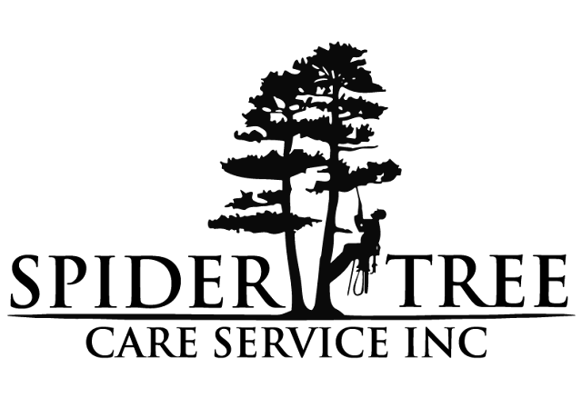 Spiders Tree Care Service of Athens photo 1