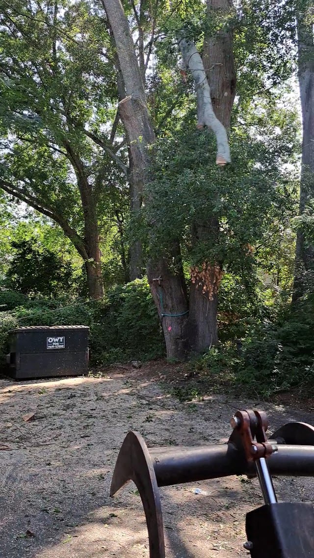 Spiders Tree Care Service of Athens photo 3