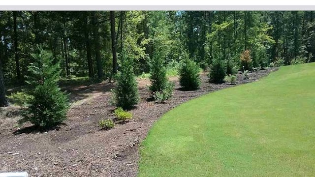 Sprinkler Innovations LLC photo 4