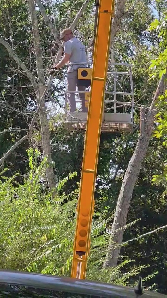 Stallworth's Tree Service Huntsville photo 3