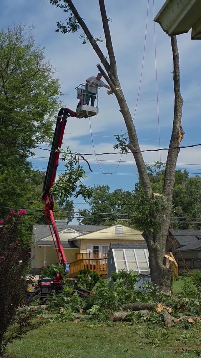 Stallworth's Tree Service Huntsville photo 4