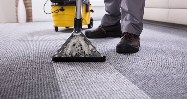 Steam-Way Carpet Cleaning Inc photo 4