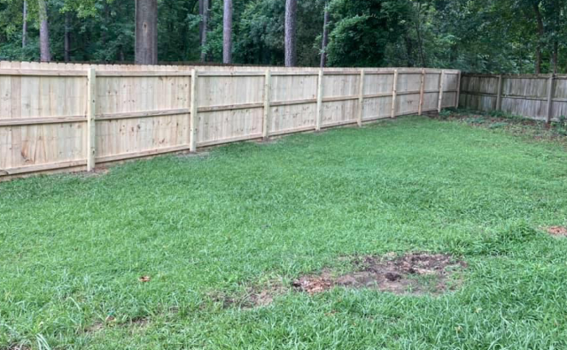 Straitline Fence photo 2