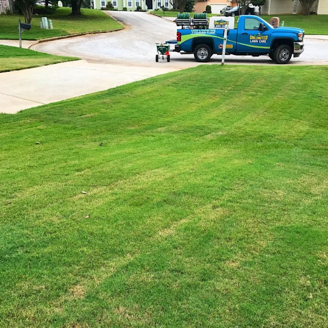 Superior Lawns and More photo 4