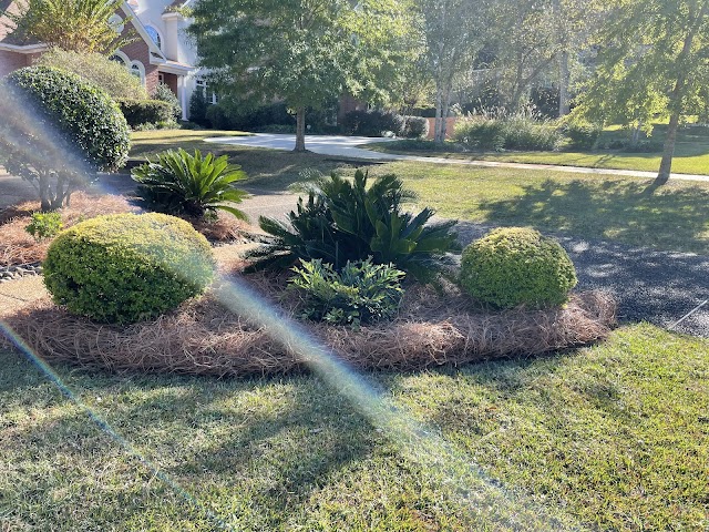 Superior Scapes LLC photo 2