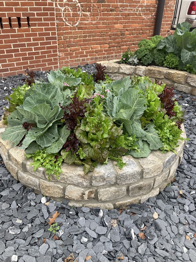 Sweetbriar Gardens Landscape Design & Maintenance photo 2