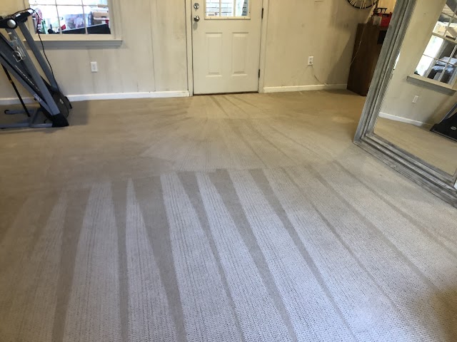 Task Force Carpet Cleaning, Task Force Pressure Washing photo 2