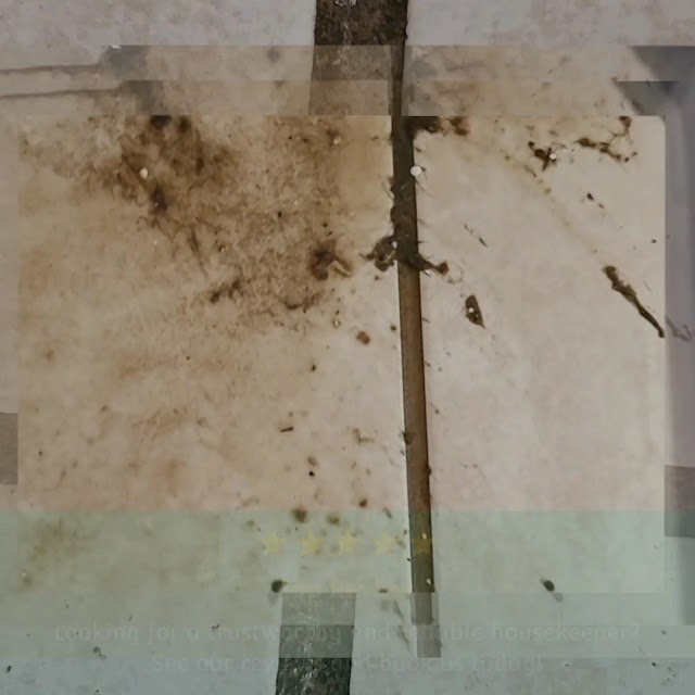 Task Force Carpet Cleaning, Task Force Pressure Washing photo 3