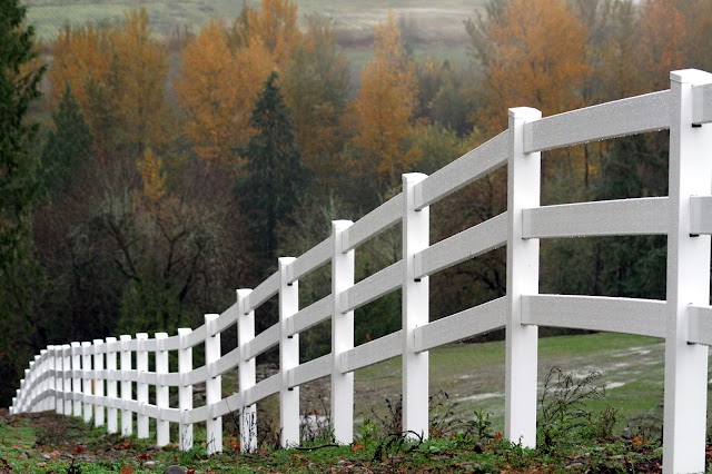 Team Fencing Inc.