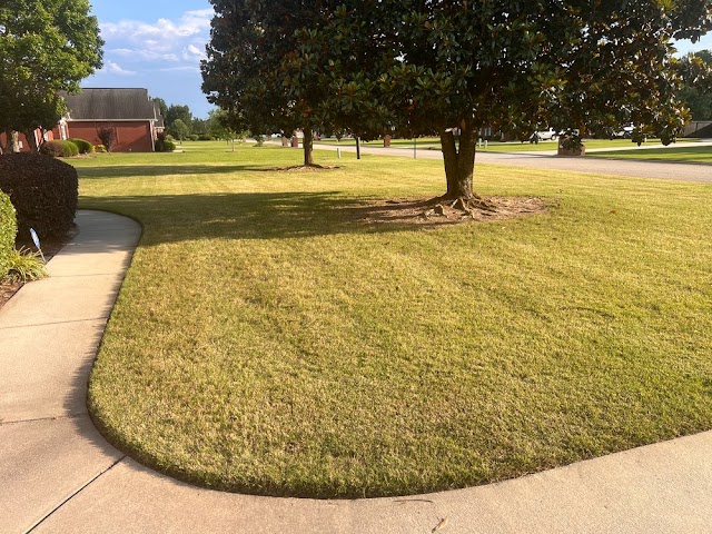 The Art of Lawn Care LLC photo 2