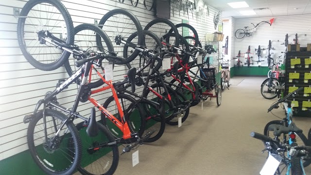 The Bike Store photo 4