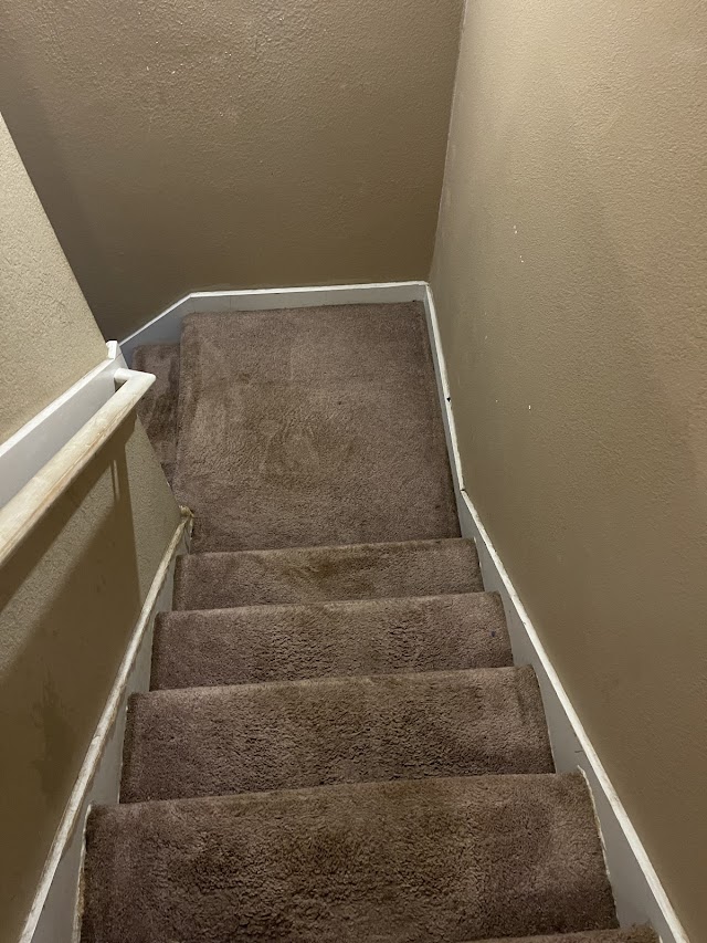The Carpet Cleaning Guy LLC. photo 3