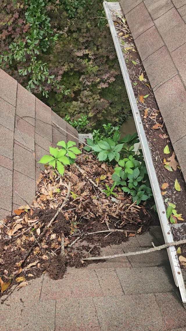The Clear Difference - Gutter Cleaning photo 2