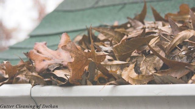 The Gutter Man Dothan photo 4