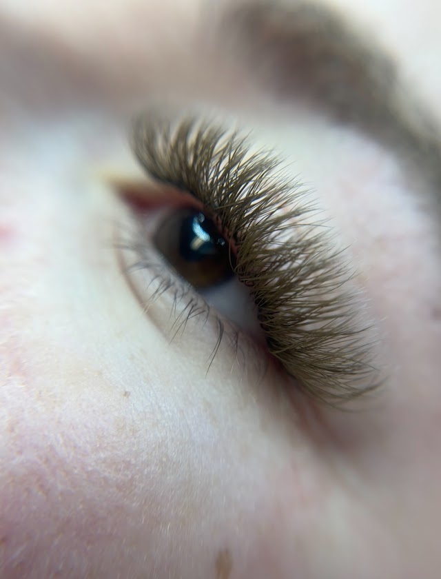 The Lash Bar photo 4
